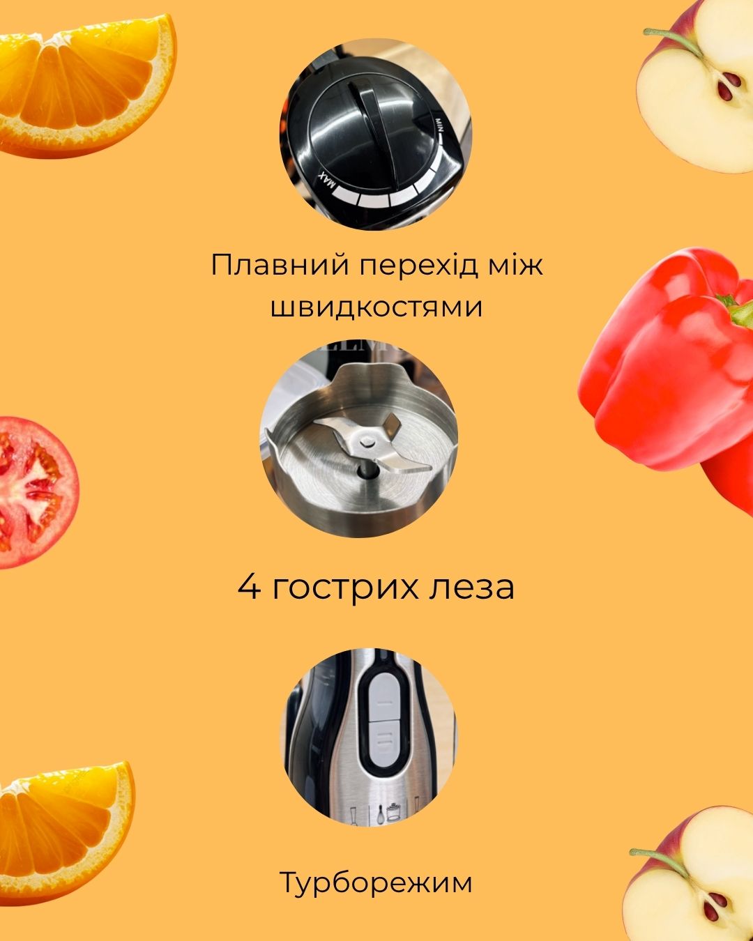 Блендер Monte